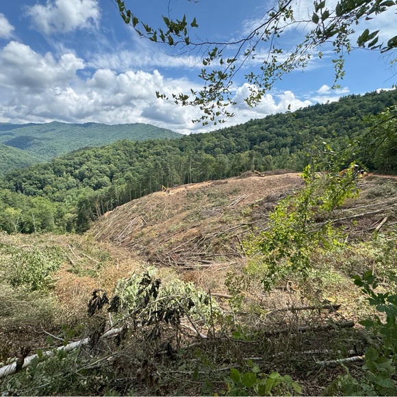 Meet your Posher, Alicia - Picture 4 of 16